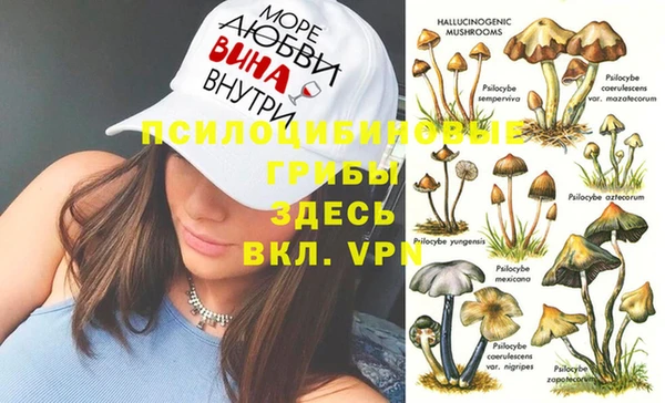 сатива Володарск
