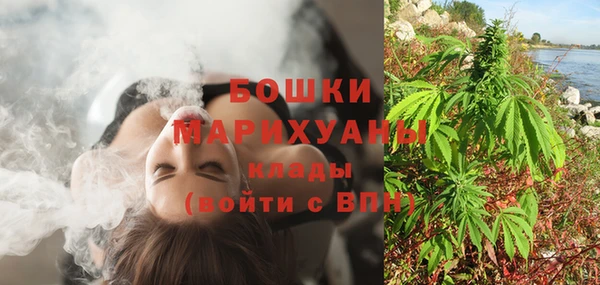 шишки Покачи