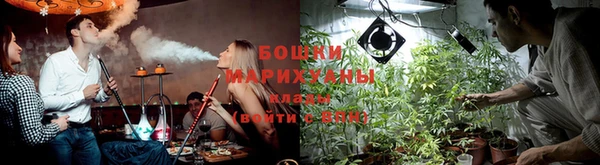 ECSTASY Волосово