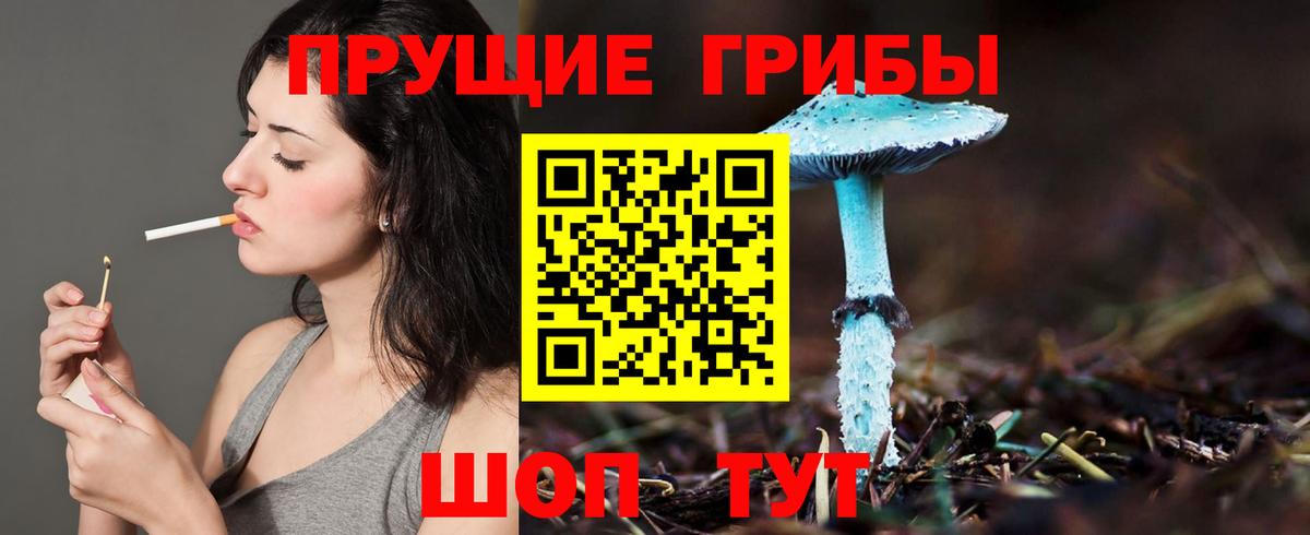 Бирск  Галлюциногенные грибы MAGIC MUSHROOMS  Вход с VPN 